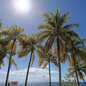 https://votre-bungalow-vintage-anne-80-mer-soleil.comcaribbean.com